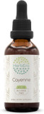 Cayenne B120 Alcohol-Free Herbal Extract Tincture, Concentrated Liquid Drops Natural Cayenne (Capsicum Annuum) 4 Fl Oz