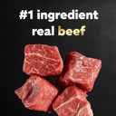 Cesar Small Breed Dry Dog Food Porterhouse Flavor And Spring Vegetables Garnish, 5 Lb. Bag