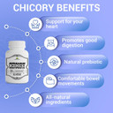 Chicory Root Supplement - Organic Inulin Powder Prebiotic Pills For Women & Men - Natural Herbal Support For Immune System - 160 Capsules