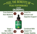 Chlorophyll Liquid Drops - Ultra High Purity, Alcohol Free, Non-Gmo, Gluten Free Liquid Chlorophyll Drops Supplement. Take With Water. Internal Deodorant + Skin Care, Immune, And Digestive Support
