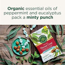 Traditional Medicinals Throat Coat Seasonal Wellness Lozenges, Eucalyptus Mint, 2.67 Oz, 2-Pack