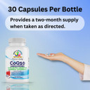 Coq10 (Ubiquinone) - 30 Capsules - Ultra Better Absorption Formula - Promote Energy And Stamina - Vegan And Vegetarian Friendly - Free From Artificial Additives