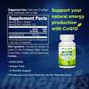 Coq10 100Mg 120 Softgels Promote Heart Health Energy Production Powerful Antioxidant Supplement