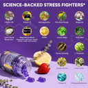 Cortisol Supplements For Women & Men 20-In-1 Cortisol Gummies With Ashwagandha Rhodiola Rosea Magnesium Phosphatidylserine Calm Focus Mood Support Healthy Cortisol Levels 30 Day Supply