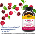 Country Life Acerola Vitamin C Complex, 500Mg, Chewable Berry Flavored Wafers, Supports Immune Health, 180 Wafers, Certified Gluten Free By Gfco , Certified Vegan By Ava