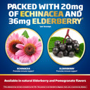 Defend-Eeze Immune Support Dietary Supplement Lozenges, 100% Daily Value Of Zinc, Vitamins C & D Per Dose, With Echinacea & Elderberry, Pomegranate Flavor, 30 Lozenges
