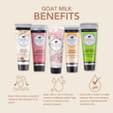 Dionis Goat Milk Skincare Hand Cream Gift Sets - Assorted Scented Travel Size Hand Creams In A Gift Box - Mini Hand Lotion Self Care Gifts For Women, Cruelty Free Lotion For Dry Skin, Inspire 2024