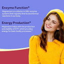 DoctorS Recipes Magnesium Glycinate 420Mg With Vitamin B6 & D3 | Enhanced Absorption With Black Pepper | Supports Nerve, Sleep & Heart Health | Non-Gmo, 90 Vegan Capsules