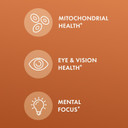 Dr. Mercola Curcumin Advanced - 500 Mg Curcumin Root Extract - 95% Curcuminoids - For Vision Health, Digestion & Focus - Sustained Release - Non-Gmo, Gluten-Free & Soy-Free - 30 Capsules (30 Servings)