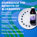 Dynamic Health Blueberry Concentrate, 100% Concentrate, Unsweetened, No Additives, Brain Function, Antioxidant Support, Vegan, Gluten Free, Non-Gmo, 16 Fl Oz