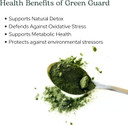 Eclectic Herb - Green Guard Powder | Natural Detox & Antioxidant Support | Nutritional Support | Superfood Powder + Daily Greens Drink Mix | Usda Organic, Us-Grown, Vegan, Non-Gmo (3.7 Oz | 105 G)