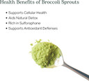 Eclectic Herb Broccoli Sprouts Powder 122 Grams