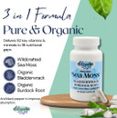 Elderwise Organics Sea Moss Capsules - Sea Moss With Burdockroot & Bladderwrack - Superfood Supplement With Raw Sea Moss - 60 Vegan Capsules - 30 Day Supply - Dosage 2 A Day - 1400 Mg