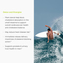 Endur Phytosterols, Promotes Heart & Prostate Health For Men, Helps Block Cholesterol Absorption & Support Urinary Comfort, 450Mg (60 Tablets)