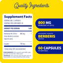 Enzymedica Berberine 800 Mg  Vegan Capsules For Metabolic Support  From Sustainably Sourced Barberry  Non-Gmo, Gluten-Free, No Fillers Or Excipients  60 Capsules