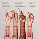 Estée Lauder Pure Color Explicit Long-Lasting Silk Matte Lipstick |12-Hour Wear