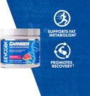 Evogen Carnigen - Premium Carnitine Powder | Supports Fat Metabolism & Promotes Recovery | Stimulant-Free L Carnitine Supplement Matrix With Acetyl L-Carnitine | Grape | 50 Servings