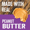 Evolve Classic Small Batch Oven Baked With Peanut Butter And Blueberry Biscuits Dog Treats, 16Oz