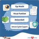 Eye Support For Dogs - 120 Chewable Tablets - Supplements For Vision, Eye Vitamins For Dogs, With Cod Liver Oil Antioxidant, Omega 3 Epa And Dha Fatty Acids