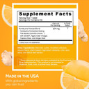 Ez Melts Dissolvable Sugar-Free Kombucha Tablets With Scoby & Apple Cider Vinegar, Gut Health Supplements For Men & Women, Ginger Lemonade Flavor, 2-Month Supply