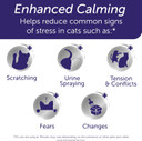 Feliway® Optimum 30 Day Cat Calming Refill For Pheromone Diffuser, 48Ml - Helps Reduce Common Signs Of Stress In Cats & Kittens, Enhanced Calming