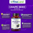 Fineland Grape Seed Extract 50:1  25,000Mg Equivalent Per Capsule  120 Vegan Capsules  Rich In Antioxidants | Heart, Immune & Circulation Support  Non-Gmo | Made In Usa