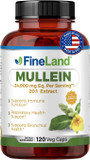 Fineland Mullein Leaf 20X Extract  24,000Mg Strengh  120 Vegan Capsules  Lung Cleanse & Respiratory Support Supplement  Sinus, Bronchial & Immune Health  Made In Usa