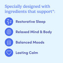 First Day MenS Nighttime Reset Calming Magnesium Gummies  Sleep Aid Supports Peaceful Rest, Balanced Mood & Energy  Supplement With Magnesium Citrate, L-Theanine & No Melatonin  30-Day Supply