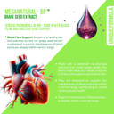 Florakare, Seniors Premium All In One - Bone Health, Blood Flow, Digestive & Gut Support For Women & Men, Vitamin K2, Grape Seed Extract Plus Lactobacillus And 12 Registered Probiotics - 30 Day Supply