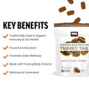 Force Factor Modern Mushrooms Soft Chews, Turkey Tail Mushroom Supplement To Support Immunity, Digestive Health, And Vitality, Antioxidants Supplement, Delicious SMores Flavor, 30 Soft Chews