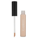Gabriel Cosmetics Cream Concealer (Organic, Clean Beauty) (Light Concealer, .3 Fl Oz)
