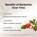 Gade Nutrition Berberine Supplement | Berberine Hci 1200Mg Per Serving - Top Choice Vegetable Capsules, Gluten Free, Non-Gmo, Dairy Free - Made In Usa