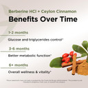 Gade Nutrition Berberine Supplement With Ceylon Cinnamon | Berberine Top Choice With Ceylon Cinnamon Capsules | Organic Veggie Capsules | Usa Made