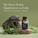 Gaia Herbs Nighttime Comfort - Menopause Supplement For Women - With Black Cohosh, Mimosa, Passionflower & St. JohnS Wort - 60 Vegan Liquid Phyto-Caps (30 Servings)