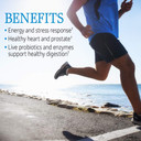 Garden Of Life Vitamin Code Raw One For Men, Once Daily Multivitamin For Men, One A Day Mens Vitamins Plus Fruit, Veggies & Probiotics For Mens Health, Vegetarian Mens Multivitamins, 30 Capsules