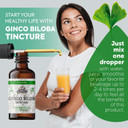 Ginkgo Biloba Tincture Organic Ginkgo Biloba Extract (Ginkgo Biloba) Dried Leaf Herbal Supplement 2 Oz