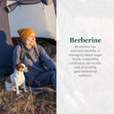 Global Healing Center - Organic Berberine (Berberina) With Ceylon Cinnamon & Black Pepper, 1200 Mg- Extra Strength Berberine Supplement & Complex For Weight Loss (60 Capsules)