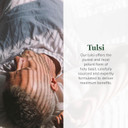 Global Healing Center - Organic Tulsi (Holy Basil Leaf Extract) Vegan Liquid Supplement Drops (Organic Basil) - Bioavailable Herb For Normal Stress Response, Natural Energy & Immune Support