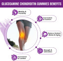 Glucosamine Chondroitin Gummies With Msm & Elderberry  Extra Strength Mobility & Flexibility Support, Antioxidant Immune Supplement For Women & Men
