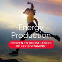 Gnc WomenS Active Multivitamin Clinically Proven For Nutrition, Exercise Recovery, Energy Production, Bone Health, Beauty, Immune, Biotin, Iron, Zinc, 90 Caplets