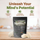 Go Nutra - LionS Mane Powder, Potent 10:1 LionS Mane Mushroom Powder With 30% Polysaccharides, Pure LionS Mane Extract For Tea, Juice, Water, And More, Non-Gmo, Vegan, 8 Oz