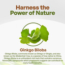 Go Nutra Ginkgo Biloba Extract Powder 10:1 Extra Strength Ginkgo Leaf | 8 Oz. Pure Non-Gmo