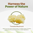 Go Nutra Organic Tremella Mushroom Powder 4Oz, Mushroom Extract For Hair Skin Health Immune Support Pure Vegan Supplement