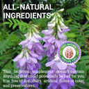 GoatS Rue Capsules 1000Mg - Natural Goats Rue Herbal Supplement - Natural Galega Officinalis For Breast Feeding - Breastmilk Production Food Supplement Support - 100 Caps