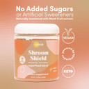 Golde Pure Matcha - 100% Pure Japanese Ceremonial Grade Matcha Green Tea Powder Shroom Shield - Superfood With Turkey Tail Mushroom, Reishi Mushroom Extract, Cacao And Coconut Milk Powder