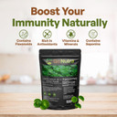 Gotu Kola 10:1 Extract Powder (8 Oz), Centella Asiatica | Gluten Free And Non-Gmo | Ayurvedic Herbal Supplement