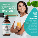 Gotu Kola Tincture, Organic Gotu Kola Extract, Gotu Kola Drops (Centella Asiatica) Dried Herb