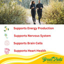 Greenfield Nutritions Halal Vitamin B12 1000Mcg - Cherry Flavored Fast Absorption 60 Sublingual B12 Tablets - Natural B12 Halal Vitamins, Supports Brain, Blood Cell Health And Energy Metabolism