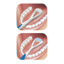 Gum - 760Rb Dual Action Tongue Cleaner Brush And Scraper (Colors May Vary)