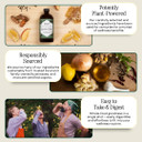 Hany'S Harvest Dandelion Burdock Earth Cider  16 Fl Oz | All-Natural Wellness Tonic, Apple Cider Vinegar | Non-Gmo, Gluten-Free, Handcrafted